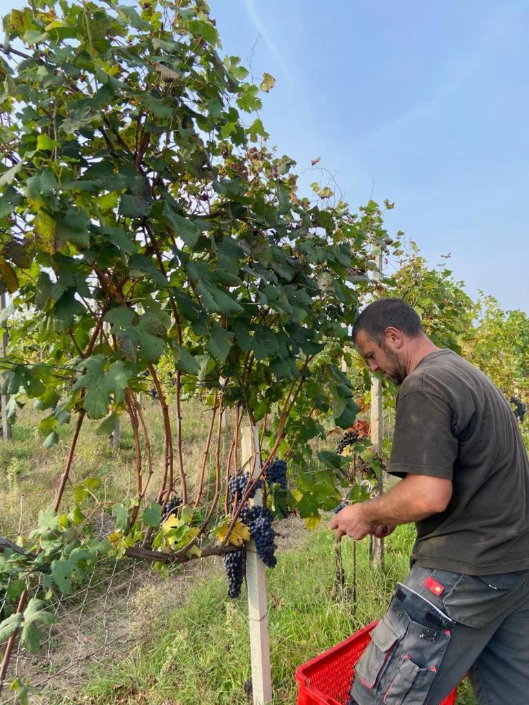 Baraggia di Boca Agriturismo L'Antico Sapore מראה חיצוני תמונה